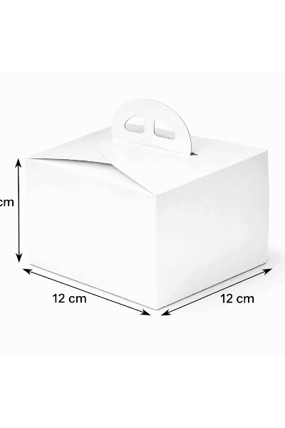 Kuchenbox mit Tragegriff 50er Set 12x12x12cm.png