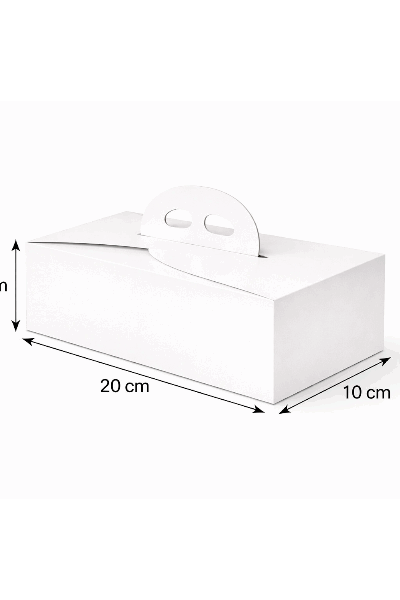 Kuchenbox mit Tragegriff 50er Set 20x10x9cm.png