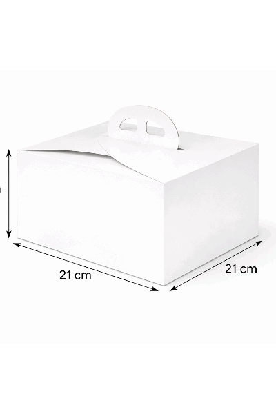 Kuchenbox mit Tragegriff 50er Set 21x21x13cm.png