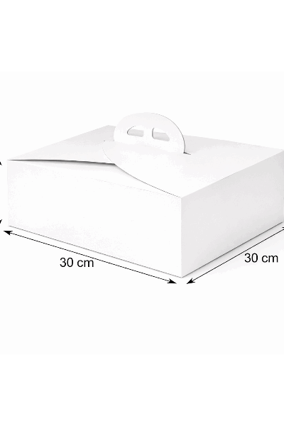 Kuchenbox mit Tragegriff 50er Set 30x30x13cm.png