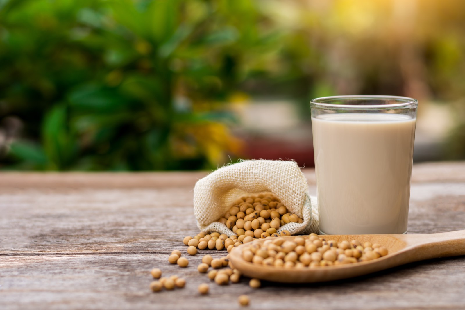 A glass of soy milk on a wooden table, with a jute bag and a wooden spoon full of soybeans in front of it